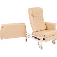 Elite Care Cliner w/ Swing Away Arms